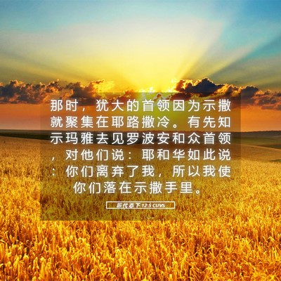Picture 05 - 历 代 志 下 12:5 CUVS - 那 时 ， 犹 大 的 首 领 因 为 示 撒 - Bible Verse Picture