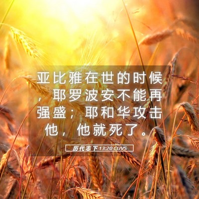Picture 05 - 历 代 志 下 13:20 CUVS - 亚 比 雅 在 世 的 时 候 ， 耶 罗 波 - Bible Verse Picture