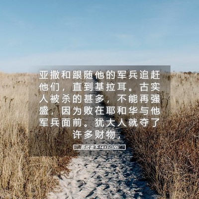 Picture 05 - 历 代 志 下 14:13 CUVS - 亚 撒 和 跟 随 他 的 军 兵 追 赶 他 - Bible Verse Picture