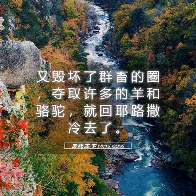 Picture 05 - 历 代 志 下 14:15 CUVS - 又 毁 坏 了 群 畜 的 圈 ， 夺 取 许 - Bible Verse Picture