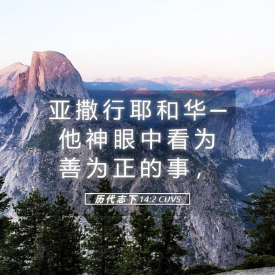 Picture 05 - 历 代 志 下 14:2 CUVS - 亚 撒 行 耶 和 华 ─ 他 神 眼 中 看 - Bible Verse Picture
