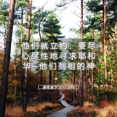 Picture 05 - 历 代 志 下 15:12 CUVS - 他 们 就 立 约 ， 要 尽 心 尽 性 地 - Bible Verse Picture