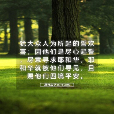 Picture 05 - 历 代 志 下 15:15 CUVS - 犹 大 众 人 为 所 起 的 誓 欢 喜 ； - Bible Verse Picture