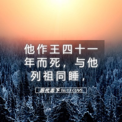 Picture 05 - 历 代 志 下 16:13 CUVS - 他 作 王 四 十 一 年 而 死 ， 与 他 - Bible Verse Picture