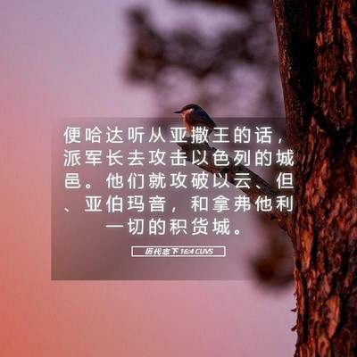 Picture 05 - 历 代 志 下 16:4 CUVS - 便 哈 达 听 从 亚 撒 王 的 话 ， 派 - Bible Verse Picture