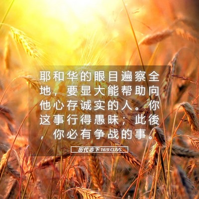 Picture 05 - 历 代 志 下 16:9 CUVS - 耶 和 华 的 眼 目 遍 察 全 地 ， 要 - Bible Verse Picture