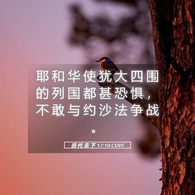 Picture 05 - 历 代 志 下 17:10 CUVS - 耶 和 华 使 犹 大 四 围 的 列 国 都 - Bible Verse Picture
