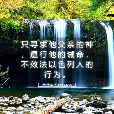 Picture 05 - 历 代 志 下 17:4 CUVS - 只 寻 求 他 父 亲 的 神 ， 遵 行 他 - Bible Verse Picture