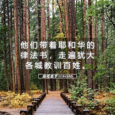 Picture 05 - 历 代 志 下 17:9 CUVS - 他 们 带 着 耶 和 华 的 律 法 书 ， - Bible Verse Picture