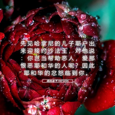 Picture 05 - 历 代 志 下 19:2 CUVS - 先 见 哈 拿 尼 的 儿 子 耶 户 出 来 - Bible Verse Picture