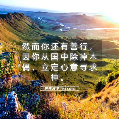 Picture 05 - 历 代 志 下 19:3 CUVS - 然 而 你 还 有 善 行 ， 因 你 从 国 - Bible Verse Picture
