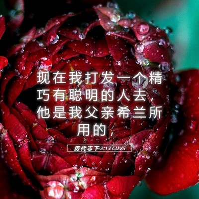 Picture 05 - 历 代 志 下 2:13 CUVS - 现 在 我 打 发 一 个 精 巧 有 聪 明 - Bible Verse Picture