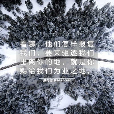 Picture 05 - 历 代 志 下 20:11 CUVS - 看 哪 ， 他 们 怎 样 报 复 我 们 ， - Bible Verse Picture