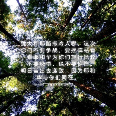 Picture 05 - 历 代 志 下 20:17 CUVS - 犹 大 和 耶 路 撒 冷 人 哪 ， 这 次 - Bible Verse Picture