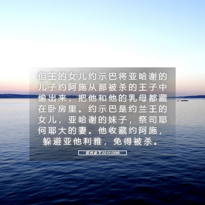 Picture 05 - 历 代 志 下 22:11 CUVS - 但 王 的 女 儿 约 示 巴 将 亚 哈 谢 - Bible Verse Picture