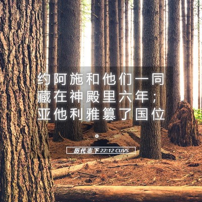 Picture 05 - 历 代 志 下 22:12 CUVS - 约 阿 施 和 他 们 一 同 藏 在 神 殿 - Bible Verse Picture