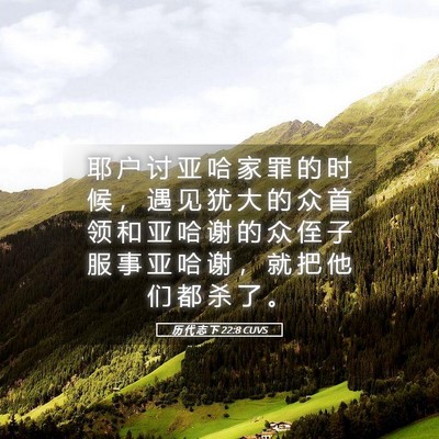 Picture 05 - 历 代 志 下 22:8 CUVS - 耶 户 讨 亚 哈 家 罪 的 时 候 ， 遇 - Bible Verse Picture