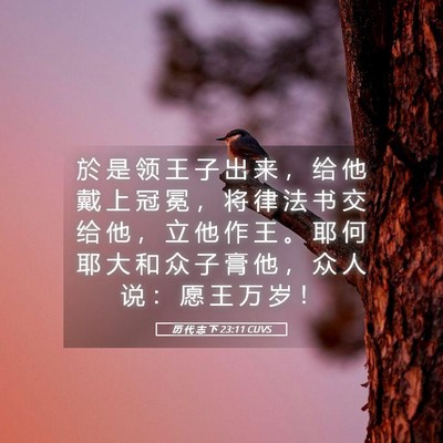 Picture 05 - 历 代 志 下 23:11 CUVS - 於 是 领 王 子 出 来 ， 给 他 戴 上 - Bible Verse Picture