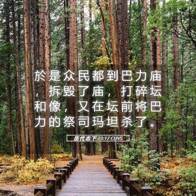 Picture 05 - 历 代 志 下 23:17 CUVS - 於 是 众 民 都 到 巴 力 庙 ， 拆 毁 - Bible Verse Picture