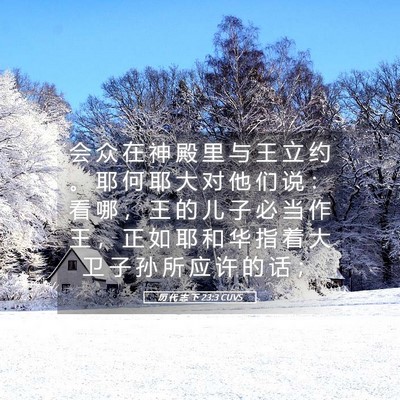 Picture 05 - 历 代 志 下 23:3 CUVS - 会 众 在 神 殿 里 与 王 立 约 。 耶 - Bible Verse Picture