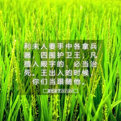 Picture 05 - 历 代 志 下 23:7 CUVS - 利 未 人 要 手 中 各 拿 兵 器 ， 四 - Bible Verse Picture