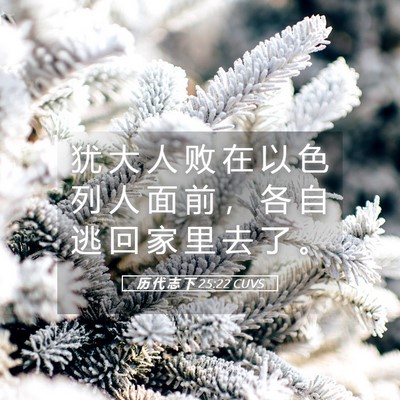Picture 05 - 历 代 志 下 25:22 CUVS - 犹 大 人 败 在 以 色 列 人 面 前 ， - Bible Verse Picture