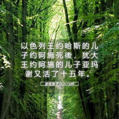 Picture 05 - 历 代 志 下 25:25 CUVS - 以 色 列 王 约 哈 斯 的 儿 子 约 阿 - Bible Verse Picture