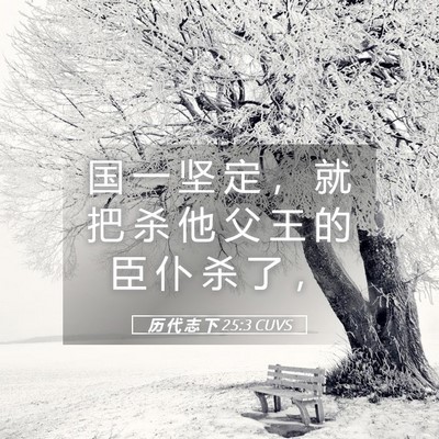 Picture 05 - 历 代 志 下 25:3 CUVS - 国 一 坚 定 ， 就 把 杀 他 父 王 的 - Bible Verse Picture