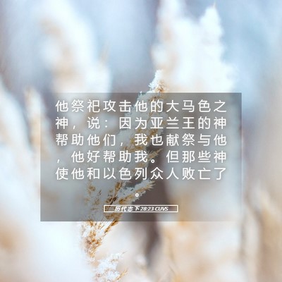 Picture 05 - 历 代 志 下 28:23 CUVS - 他 祭 祀 攻 击 他 的 大 马 色 之 神 - Bible Verse Picture
