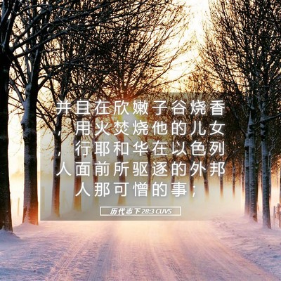 Picture 05 - 历 代 志 下 28:3 CUVS - 并 且 在 欣 嫩 子 谷 烧 香 ， 用 火 - Bible Verse Picture