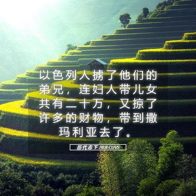 Picture 05 - 历 代 志 下 28:8 CUVS - 以 色 列 人 掳 了 他 们 的 弟 兄 ， - Bible Verse Picture