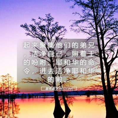 Picture 05 - 历 代 志 下 29:15 CUVS - 起 来 聚 集 他 们 的 弟 兄 ， 洁 净 - Bible Verse Picture