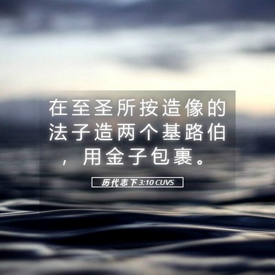 Picture 05 - 历 代 志 下 3:10 CUVS - 在 至 圣 所 按 造 像 的 法 子 造 两 - Bible Verse Picture