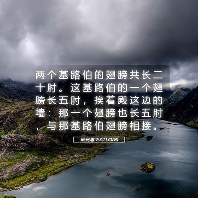 Picture 05 - 历 代 志 下 3:11 CUVS - 两 个 基 路 伯 的 翅 膀 共 长 二 十 - Bible Verse Picture