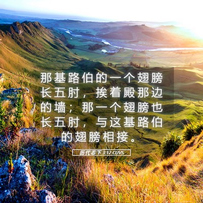 Picture 05 - 历 代 志 下 3:12 CUVS - 那 基 路 伯 的 一 个 翅 膀 长 五 肘 - Bible Verse Picture