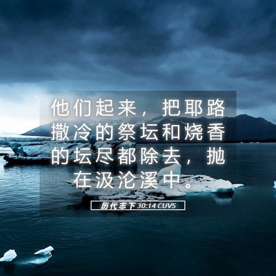 Picture 05 - 历 代 志 下 30:14 CUVS - 他 们 起 来 ， 把 耶 路 撒 冷 的 祭 - Bible Verse Picture