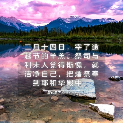 Picture 05 - 历 代 志 下 30:15 CUVS - 二 月 十 四 日 ， 宰 了 逾 越 节 的 - Bible Verse Picture