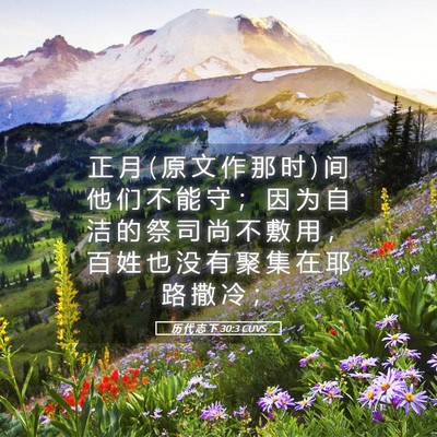 Picture 05 - 历 代 志 下 30:3 CUVS - 正 月 ( 原 文 作 那 时 ) 间 他 们 不 - Bible Verse Picture