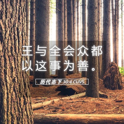 Picture 05 - 历 代 志 下 30:4 CUVS - 王 与 全 会 众 都 以 这 事 为 善 - Bible Verse Picture