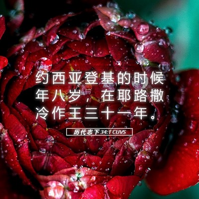 Picture 05 - 历 代 志 下 34:1 CUVS - 约 西 亚 登 基 的 时 候 年 八 岁 ， - Bible Verse Picture