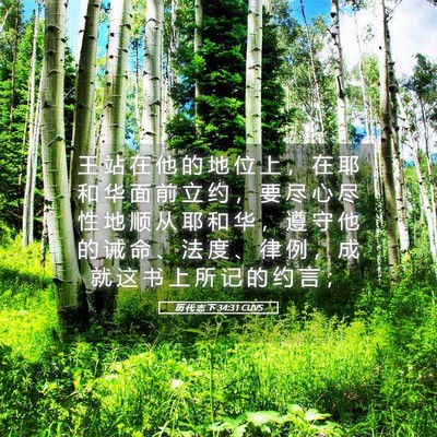 Picture 05 - 历 代 志 下 34:31 CUVS - 王 站 在 他 的 地 位 上 ， 在 耶 和 - Bible Verse Picture