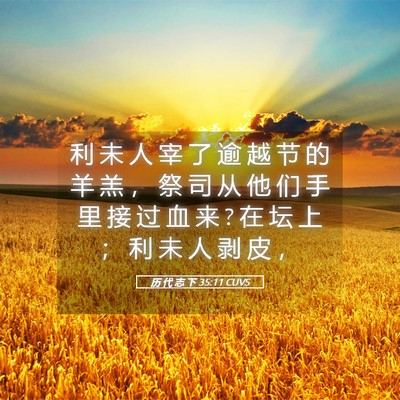 Picture 05 - 历 代 志 下 35:11 CUVS - 利 未 人 宰 了 逾 越 节 的 羊 羔 ， - Bible Verse Picture