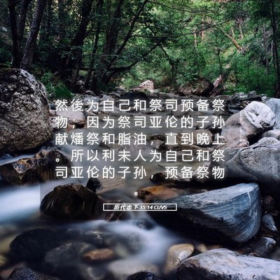 Picture 05 - 历 代 志 下 35:14 CUVS - 然 後 为 自 己 和 祭 司 预 备 祭 物 - Bible Verse Picture
