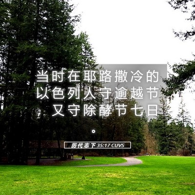 Picture 05 - 历 代 志 下 35:17 CUVS - 当 时 在 耶 路 撒 冷 的 以 色 列 人 - Bible Verse Picture