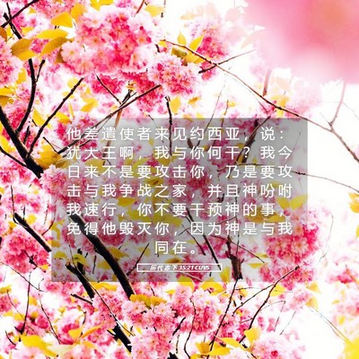 Picture 05 - 历 代 志 下 35:21 CUVS - 他 差 遣 使 者 来 见 约 西 亚 ， 说 - Bible Verse Picture