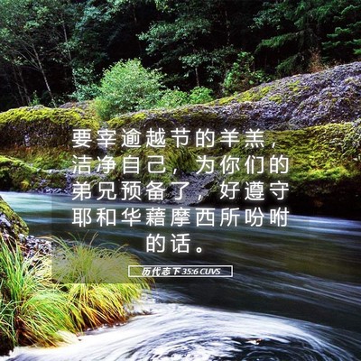 Picture 05 - 历 代 志 下 35:6 CUVS - 要 宰 逾 越 节 的 羊 羔 ， 洁 净 自 - Bible Verse Picture