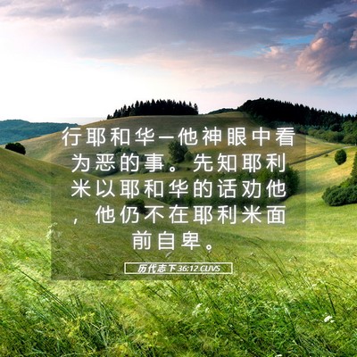 Picture 05 - 历 代 志 下 36:12 CUVS - 行 耶 和 华 ─ 他 神 眼 中 看 为 恶 - Bible Verse Picture