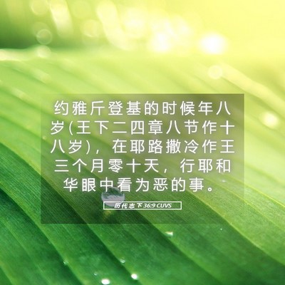 Picture 05 - 历 代 志 下 36:9 CUVS - 约 雅 斤 登 基 的 时 候 年 八 岁 ( 王 - Bible Verse Picture