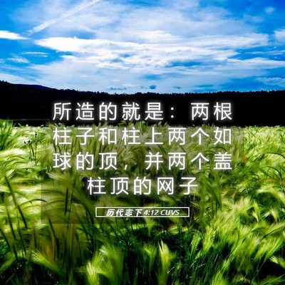Picture 05 - 历 代 志 下 4:12 CUVS - 所 造 的 就 是 ： 两 根 柱 子 和 柱 - Bible Verse Picture