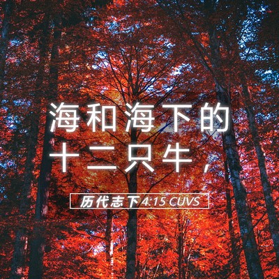 Picture 05 - 历 代 志 下 4:15 CUVS - 海 和 海 下 的 十 二 只 牛 - Bible Verse Picture